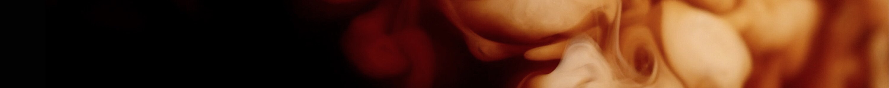 GERAÇÃO I Lattes banner