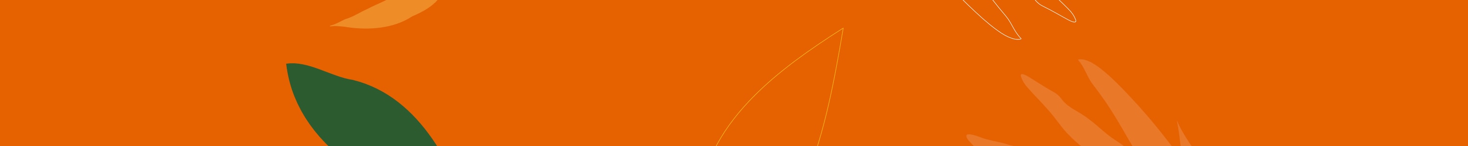 Neo Caseiros banner