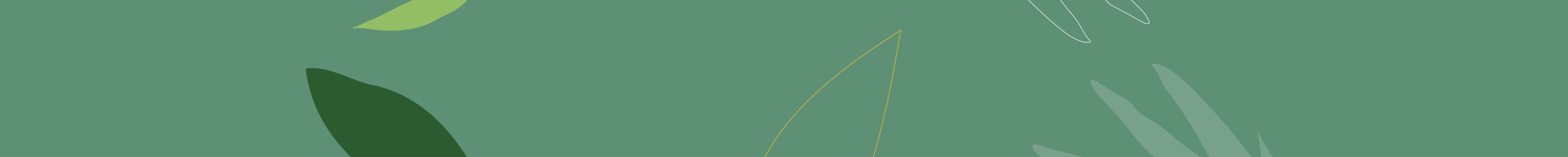 Orgânicos banner