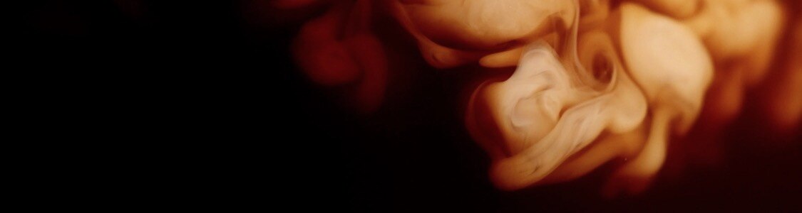 GERAÇÃO I Lattes banner