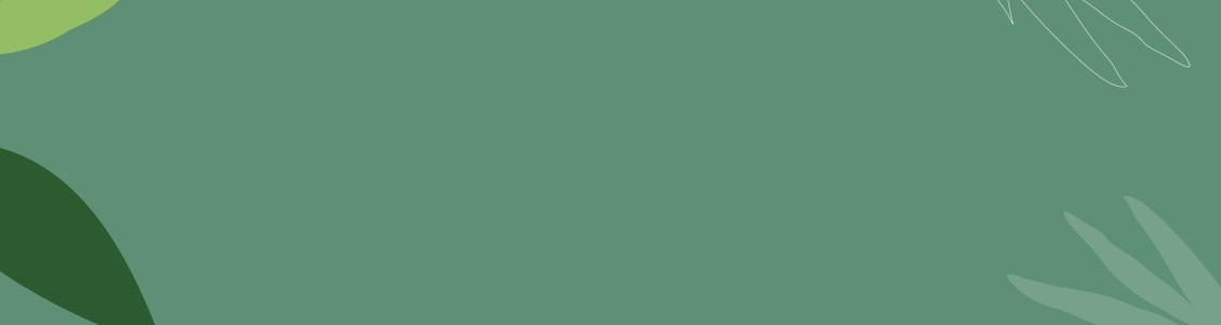 Orgânicos banner