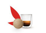 Espressos