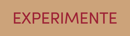 Experimente