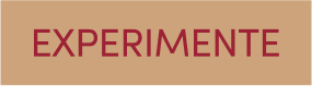 Experimente